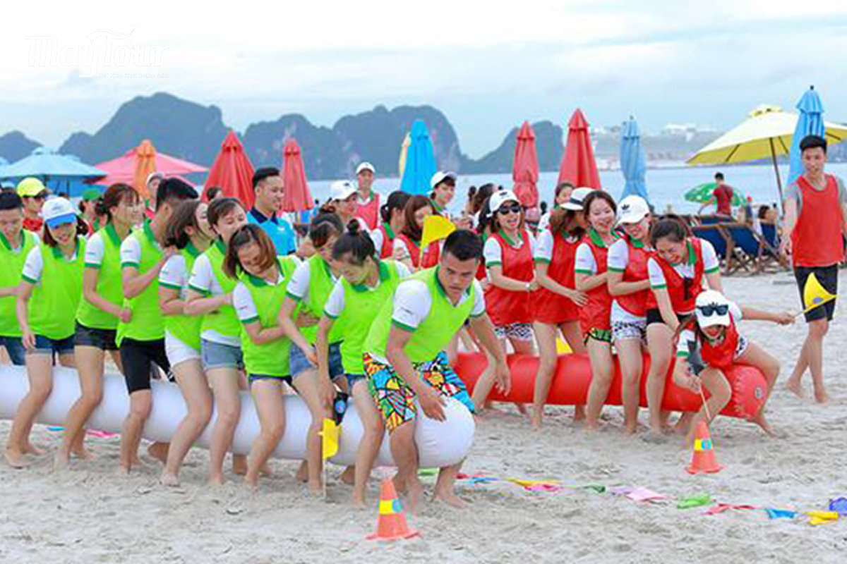 Tổ chức team building là gì?