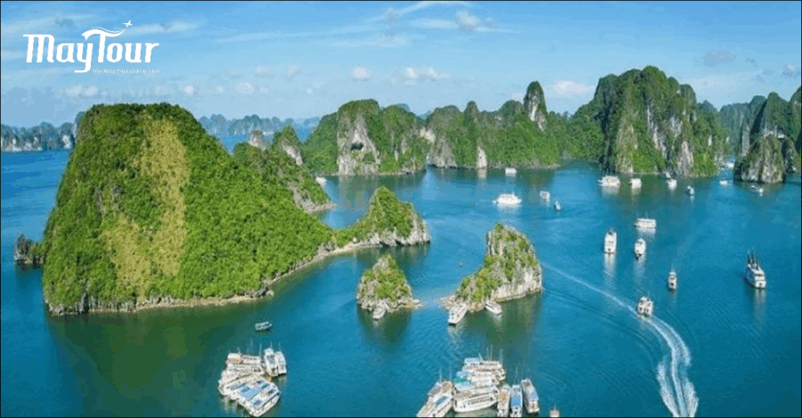 Top 8 Các Công Ty Du Lịch Uy Tín Tại TPHCM