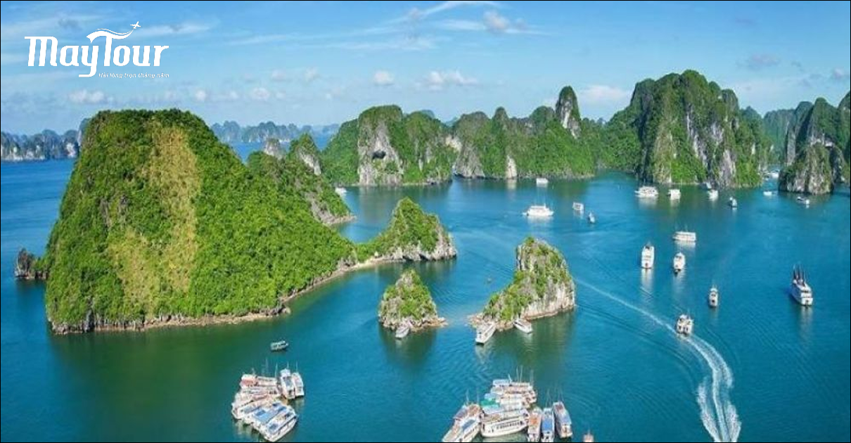 Top 8 Các Công Ty Du Lịch Uy Tín Tại TPHCM