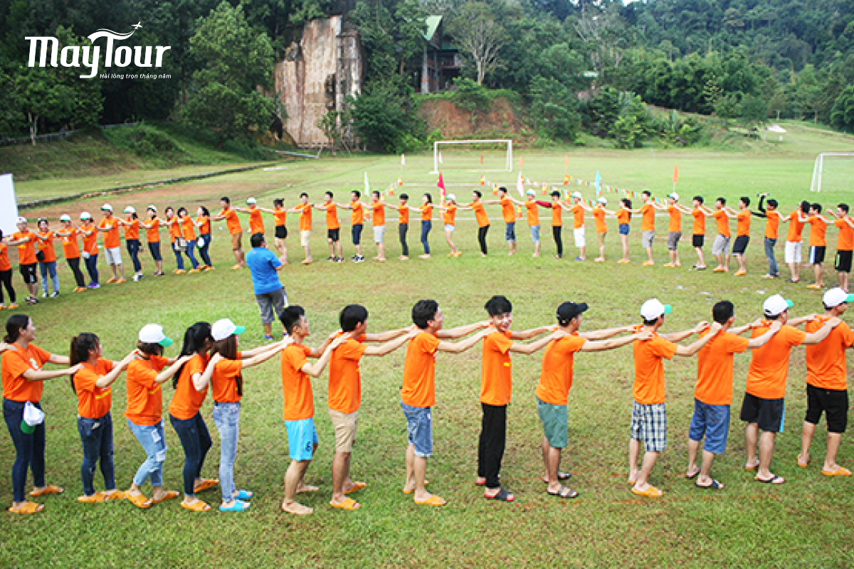 Top 8 địa điểm team building gần Sài Gòn nào được yêu thích nhất?