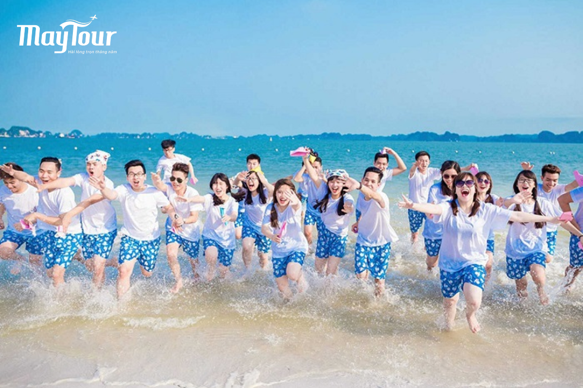 Top 8 địa điểm team building gần Sài Gòn nào được yêu thích nhất?