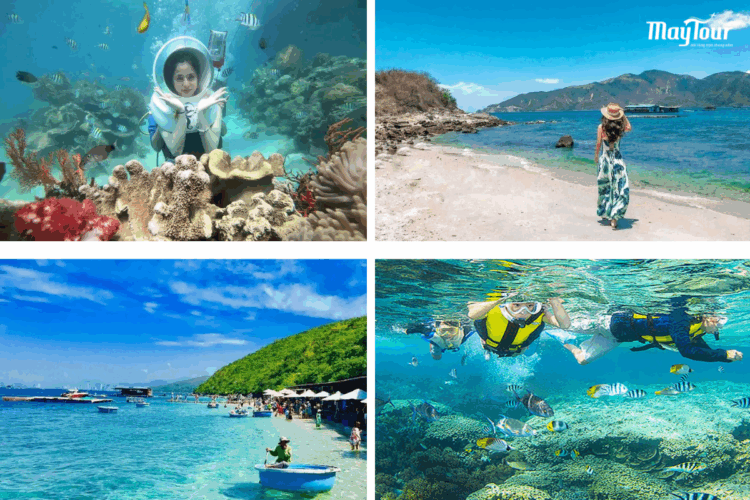 Trải nghiệm lặn ngắm san hô kỳ thú tại Vịnh San Hô Nha Trang