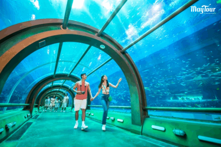 Khám phá đại dương thu nhỏ tại Cung điện Hải Vương trong tour Nha Trang