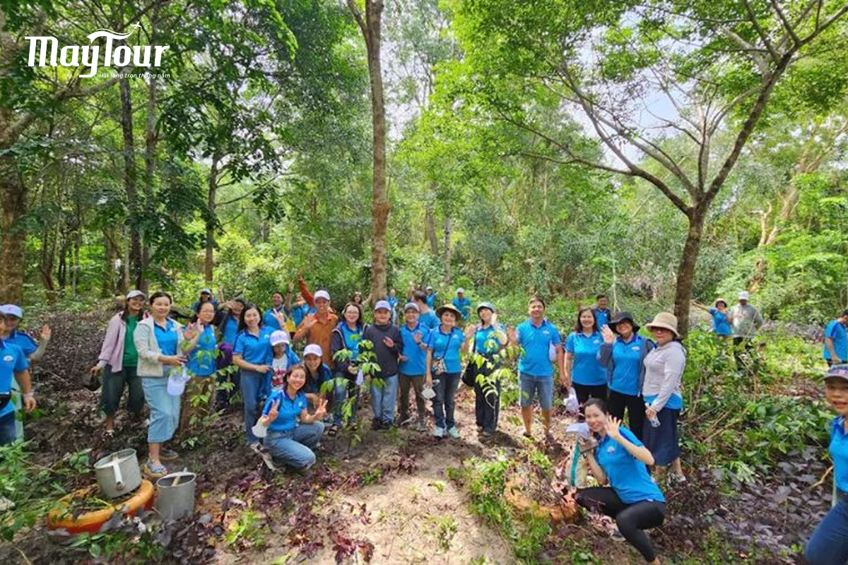 Địa điểm tổ chức team building tại Hồ Tràm