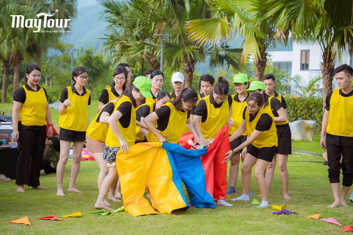 Tại sao nhiều doanh nghiệp chọn Đà Lạt để tổ chức team building?