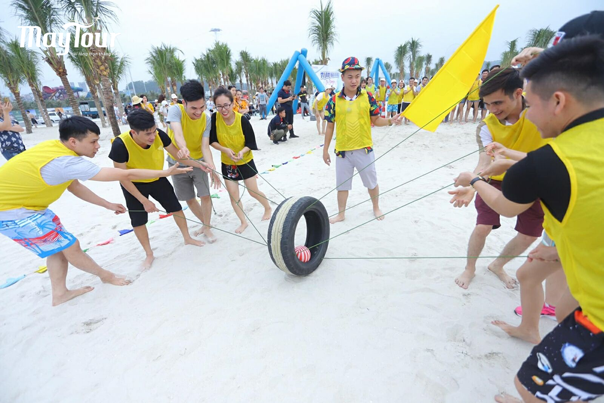 Vì sao nên chọn MayTour tổ chức team building trường học?