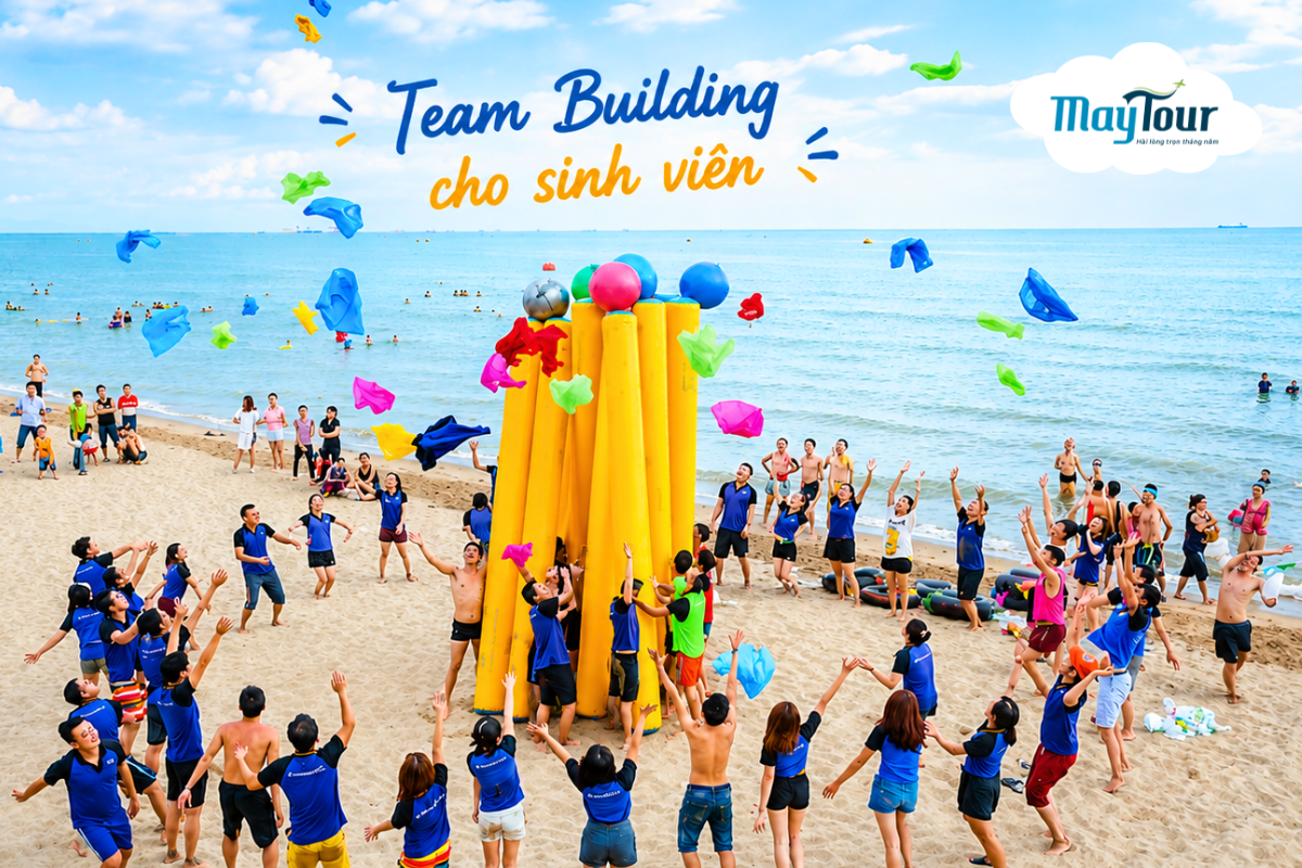 Team building cho sinh viên trên bãi biển với các hoạt động tập thể vui nhộn và gắn kết