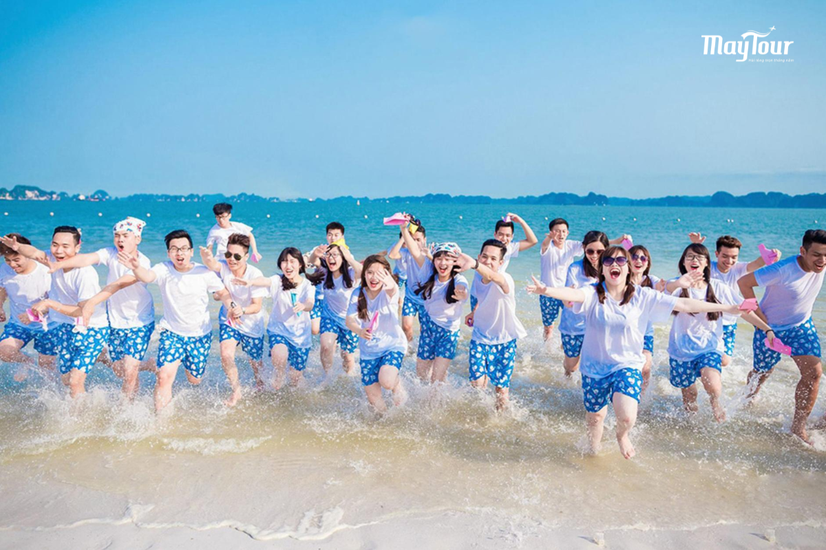 Tuỳ thời điểm mà sẽ có các hoạt động thú vị cho bạn trải nghiệm