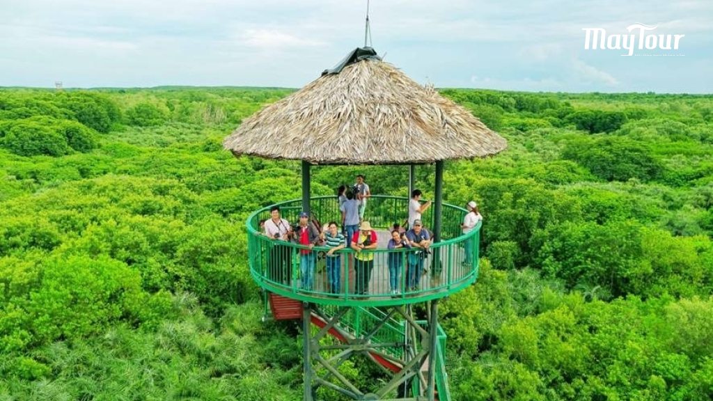 Khu du lịch sinh thái Dần Xây – Điểm hẹn cho thử thách sinh tồn rừng ngập mặn