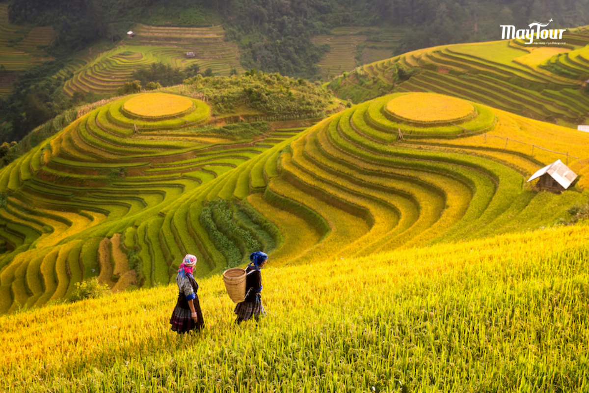 Tuỳ thời điểm bạn đến mà hãy chọn địa điểm lý tưởng cho mình